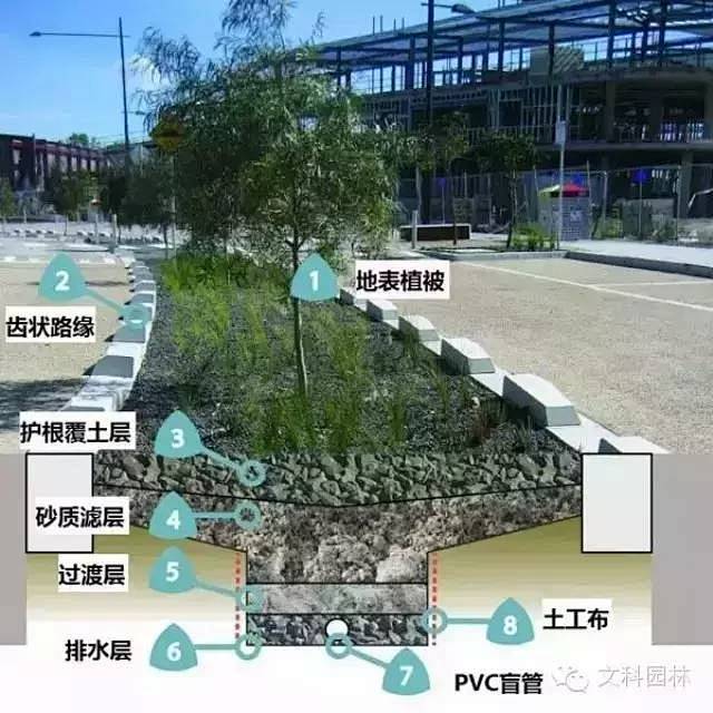 【文科分享】建设海绵城市 缔造雨水花园