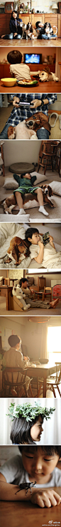 森友治的家庭日记。 摄影师森友治，和妻子、一儿一女、三只狗狗住在福冈。1999年开始在博客上公布家庭生活的点点滴滴，“把眼前发生的事情拍下，用客观的语言原封不动地传出去”。在他的照片里，你会看见幸福，爱。
