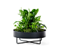 Shima Garden Ø90 by Johanson | Flowerpots / Planters