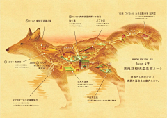 九天※揽月↑采集到旅游/航空广告