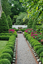 Boxwoods galore in our courtyard