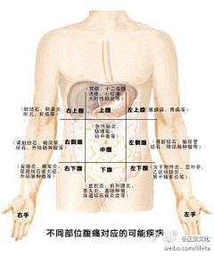 x---ling采集到健康的生活