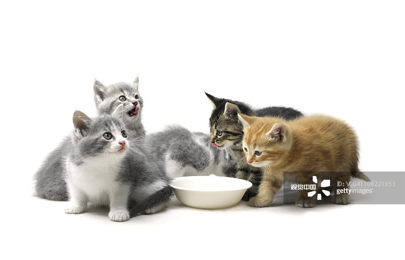 f7c0092c586d70169d5f15e84984d087fcb2022becc4-lIPaW6