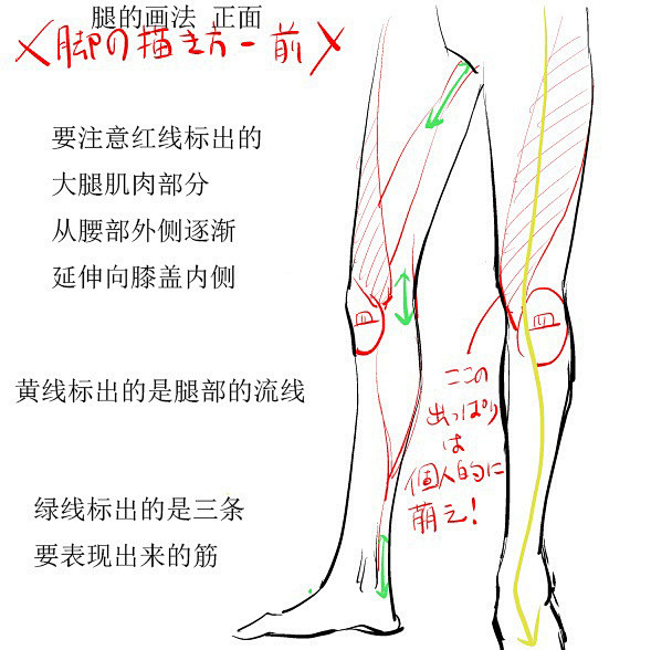 【技术贴】脚的绘画方法解析，中文版哦！（...