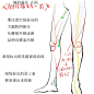 【技术贴】脚的绘画方法解析，中文版哦！（资源包下载地址：O网页链接 ）#怒转吧# #好资源记得@ 给你的好**# ​​​​