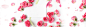 粉色玫瑰花瓣情人节浪漫婚礼海报背景-粉色背景-粉色系-粉色设计-粉色素材-粉色背景banner