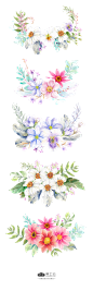 FLORAL手绘树叶鲜花元素_PNG：