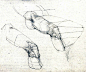 Gottfried Bammes（德国巴莫斯教授，艺院解剖课教授，他的人体解剖资料被不少国外艺术生当做圣经般拜读）的腿部结构（腿-膝盖-脚）的解析图 ​​​​