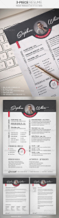 3-Piece Resume / CV Set - Resumes Stationery