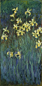 Yellow Irises
艺术家：莫奈
年份：1917
材质：Oil on canvas
尺寸：101 x 20 CM