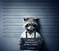 https://www.behance.net/gallery/23943065/The-raccoon-of-wall-street