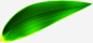 端午节绿色粽叶装饰-觅元素51yuansu.com png设计元素 #素材#