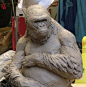 Koko the gorilla tribute sculpt., ARIS KOLOKONTES : My latest piece is a tribute to Koko the Gorilla . Water based clay ,  11 inches tall. Still in progress.