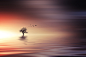 Tree and birds on lake sunset by Bess Hamiti on 500px