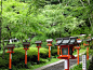 京都 - 必应 Bing 图片