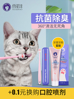 她和猫咪采集到家居