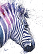 ZEBRA ART PRINT - watercolor zebra painting, abstract zebra decor, watercolor animal art, zebra print, wildlife painting: 