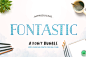 fontastic bundle