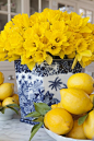 Spring Daffodil Centerpiece in a Chinese vase, bright and fresh with added bowls of lemons. | Carolyne Roehm: 
