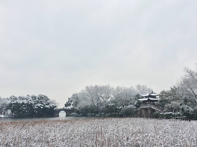 西湖雪。  摄于：脆栗子