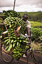 【坦桑尼亞】香蕉與人力車