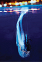 【C025】MACCHIATO系列水下摄影《莲生》。MOKA携手MACCHIATO，一起带你潜入深蓝色的静谧，让灵魂开出纯白的莲花……