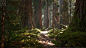 UE4 Redwood Forest V2 Update, Willi Hammes : Latest updated version of the procedural giant sequoia forest in Unreal Engine 4. Tones of new assets and massive tweaks to all textures and materials. The updated pack is now available via cgtrader: https://ww