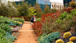 Playa Vista Central Park | OJB Landscape Architecture : Playa Vista Central Park in Los Angeles is a 9-acre park organized into a series of distinct landscape experiences unified by a central spine and linear bands of specimen trees.