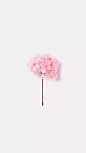 Hi 壁纸✨ 粉色系.花朵.锁屏