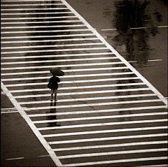 畅公子采集到albert watson