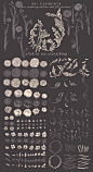 燕窝甜品花卉背景插画包装肌理复古手绘插图AI设计素材 (5)