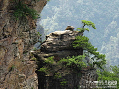 Zuoantianshi212采集到张家界摄影图片 旅游, 