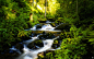 forests rivers wallpaper (#898376) / Wallbase.cc