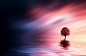 Magical tree with red leaves in the lake by Bess Hamiti on 500px