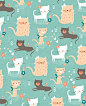 Kitty kitty  | pattern