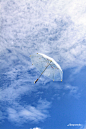 Photograph Flying Umbrella