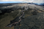 Lava Flow Threatens Pahoa, Hawaii : On June 27, a new lava flow emerged from Hawaii's Kilauea Volcano, flowing to the northeast at a rate varying from 2 meters per hour up to 15 meters per hour