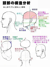 Cersei胡梦辰采集到透视