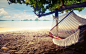 General 3848x2400 trees hammocks beach landscape