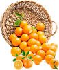 水果橙子鲜橙脐橙免扣素材png