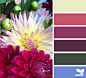 flora palette