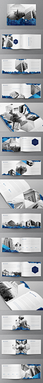 Blue Hexo Brochure on Behance