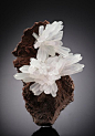 A neat beautiful specimen of two divergent sprays of milky-white slender Quartz crystals to nearly 2 cm set on a chocolate-brown, fine-grained basaltic matrix.  The specimen is from Iraí, Brazil
