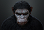 Dawn of the planet of the apes fan art by Patrick Liow 1500px X 1042px