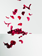 影棚拍摄,落下,红色,花瓣,漂亮的人_103332964_Red rose petals falling_创意图片_Getty Images China