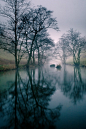 Mist in the Peak District by Simon Watkinson