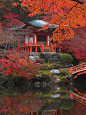 It's a beautiful world : Daigo-ji temple, Kyoto / Japan (by ChihPing).