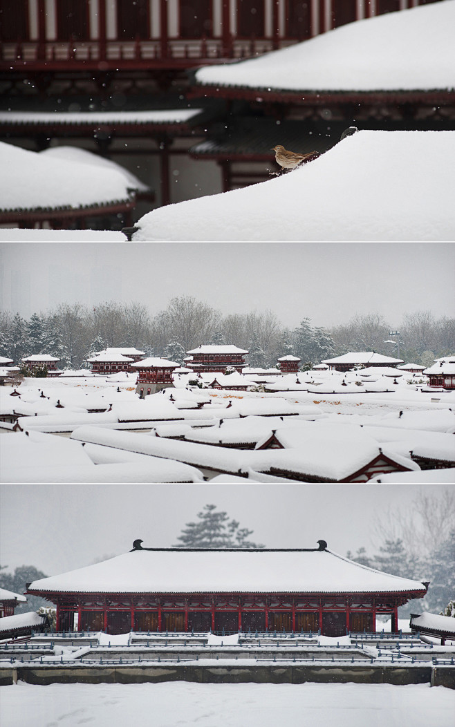 一朝长安雪，半梦醉人间.    木白-文