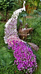 做了上百泰国兰花的壮丽孔雀茎和玫瑰的颜色改变从白色到粉红色到紫色。 尾部测量5.5米（18英尺）长。 创建由CS花艺设计的柴Somyana@北坤人素材