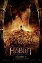 Extra Large Movie Poster Image for The Hobbit: The Desolation of Smaug